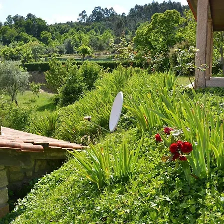 Vessadas House - A * Celorico De Basto